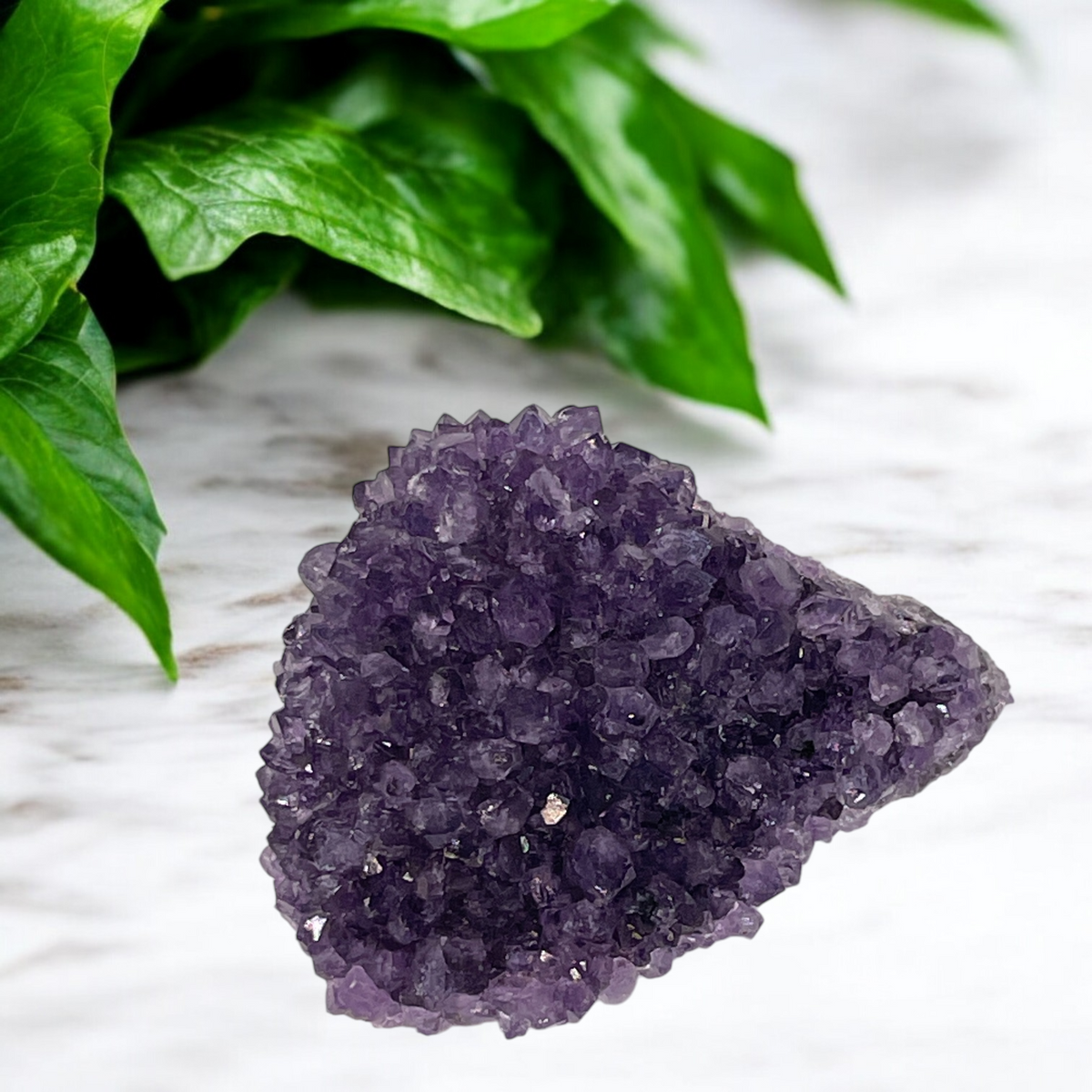 Amethyst, Specimen, Purple, Bud, Uruguay | 2.0x1.50x1.0, 61gr (#19S224)